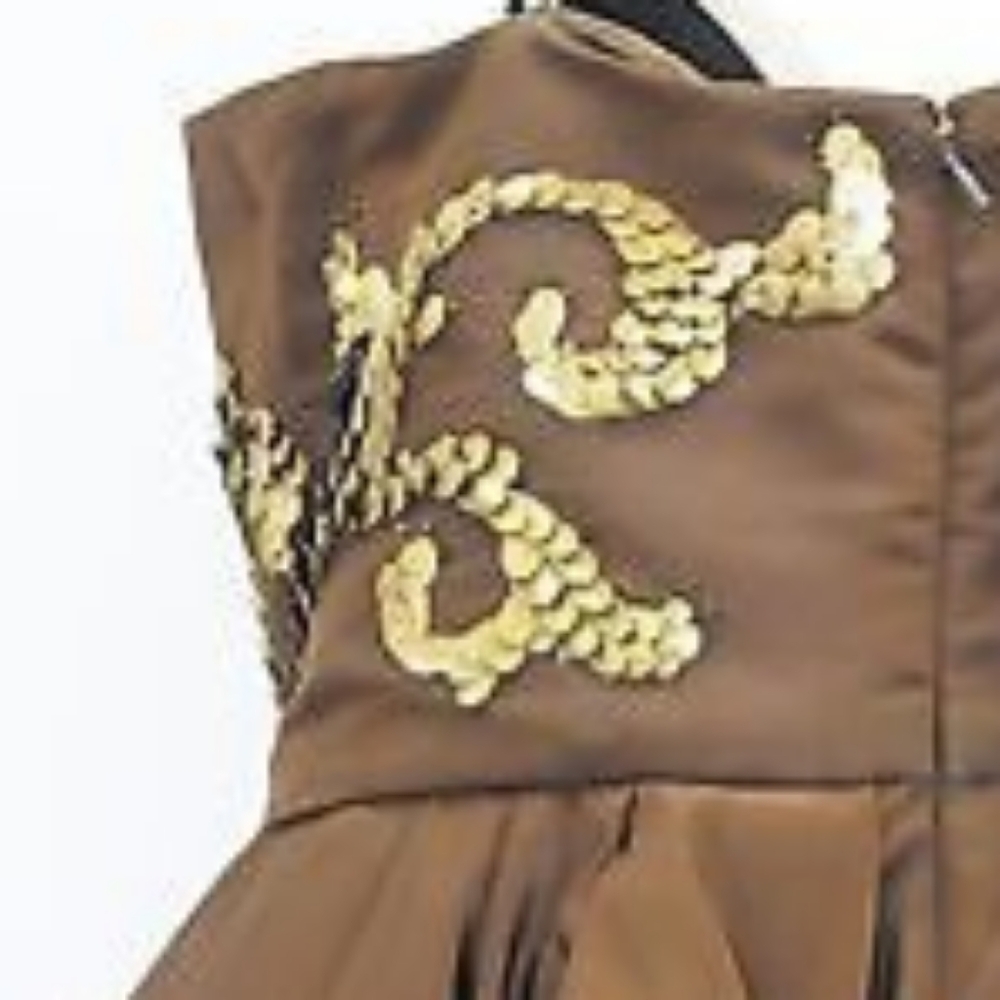 $16,000 OSCAR DE LA RENTA GOLD BEAD EMBROID BROWN SILK RUNWAY GOWN 4 - Picture 6 of 12